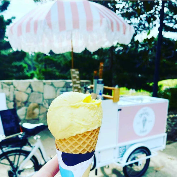 Ice cream bike, Gelato bike, Ebike, Ice cream & drinks bike, electric ice cream bike. Electric ice cream trike, Ice cream & gelato trikes. Buy or hire ice cream & drinks bikes. 